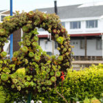 San Fransisco Fishermans Wharf Pier 39
