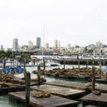 San Fransisco Fishermans Wharf Pier 39